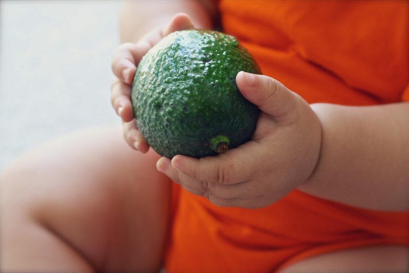 бебе авокадо